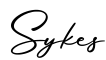 单词Sykes书写