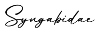 单词Syngabidae书写