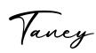 单词Taney书写