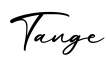 单词Tange书写