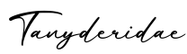 单词Tanyderidae书写