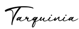 单词Tarquinia书写