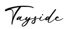 单词Tayside书写