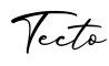 单词Tecto书写