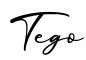 单词Tego书写