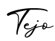 单词Tejo书写