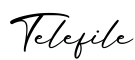 单词Telefile书写