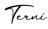单词Terni书写