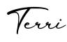 单词Terri书写