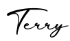 单词Terry书写