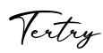单词Tertry书写