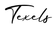 单词Texels书写