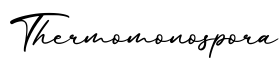 单词Thermomonospora书写