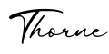 单词Thorne书写