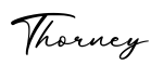 单词Thorney书写