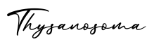 单词Thysanosoma书写
