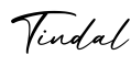 单词Tindal书写