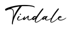 单词Tindale书写