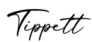 单词Tippett书写