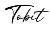单词Tobit书写