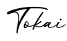 单词Tokai书写