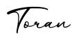 单词Toran书写