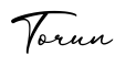 单词Torun书写