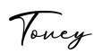 单词Tovey书写