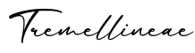 单词Tremellineae书写