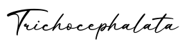 单词Trichocephalata书写