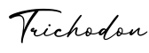 单词Trichodon书写