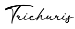 单词Trichuris书写