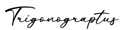 单词Trigonograptus书写