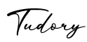 单词Tudory书写