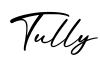 单词Tully书写