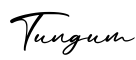 单词Tungum书写