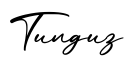 单词Tunguz书写