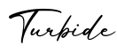 单词Turbide书写
