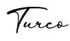 单词Turco书写