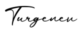 单词Turgenev书写