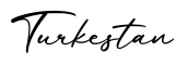 单词Turkestan书写