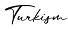 单词Turkism书写