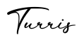 单词Turris书写
