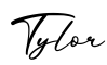 单词Tylor书写