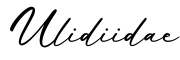 单词Ulidiidae书写