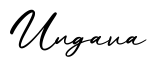 单词Ungava书写