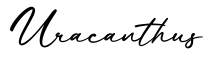 单词Uracanthus书写