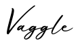 单词Vaggle书写
