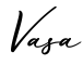 单词Vasa书写