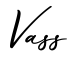 单词Vass书写